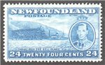 Newfoundland Scott 241 MNH F (P13.7)